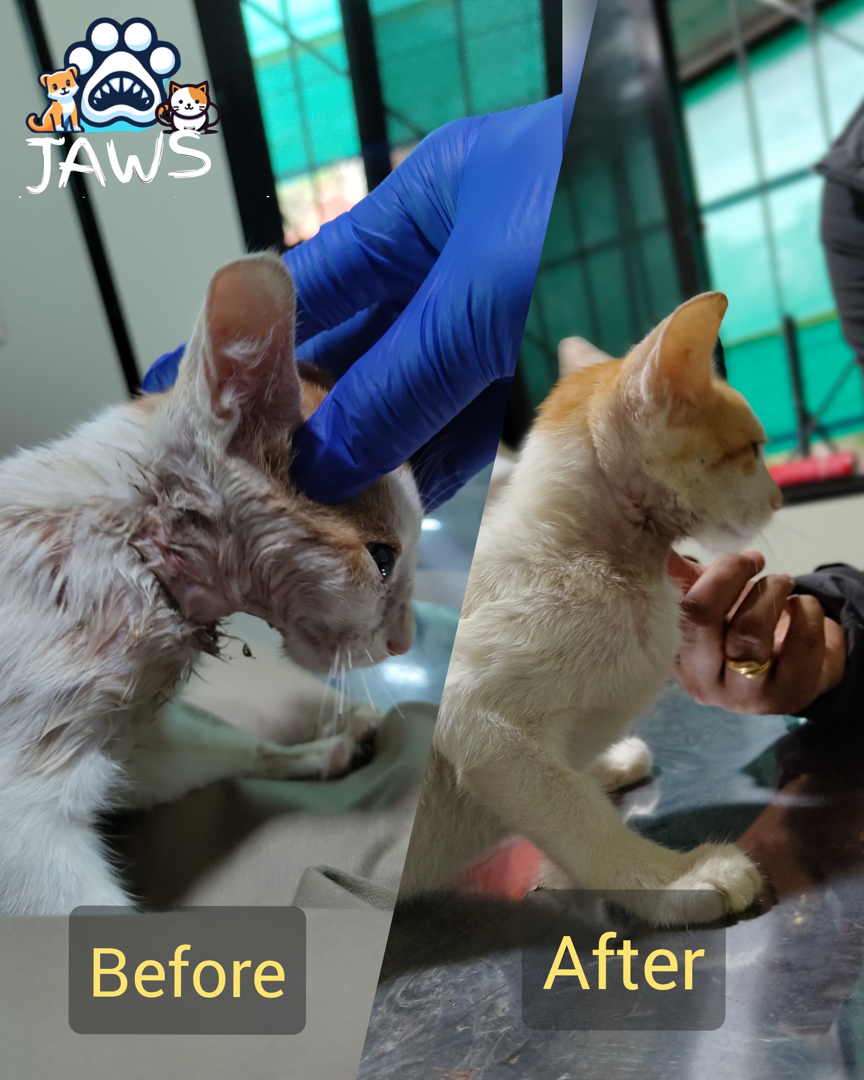 Rescue Transformation 2