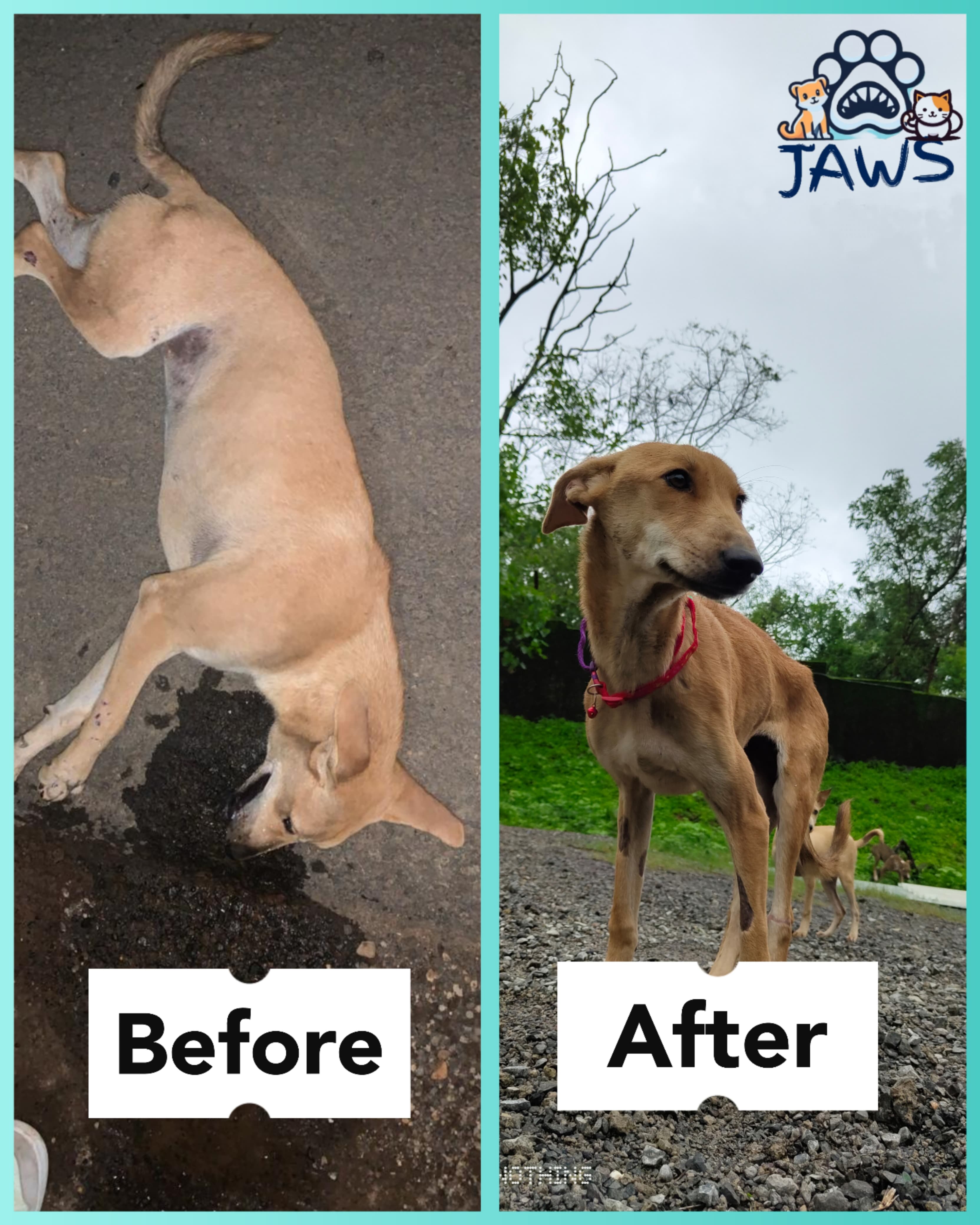 Rescue Transformation 3