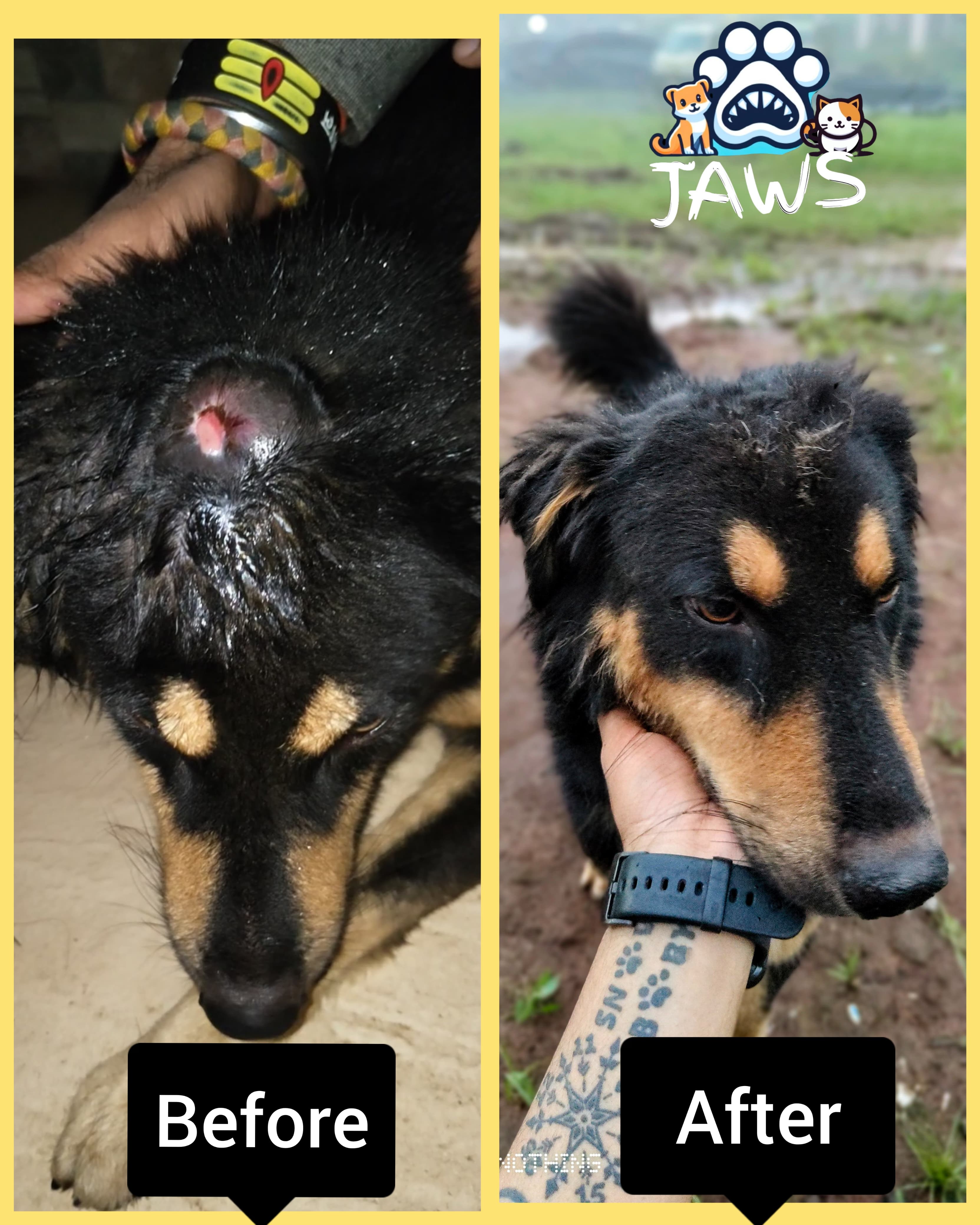 Rescue Transformation 4